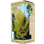 coffret botanique- ginkgo biloba